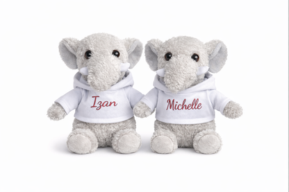 Pack peluches personalizados con vuestros nombres