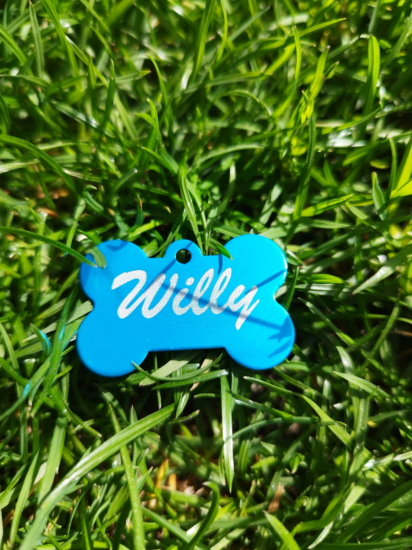 Chapa identificativa para perro