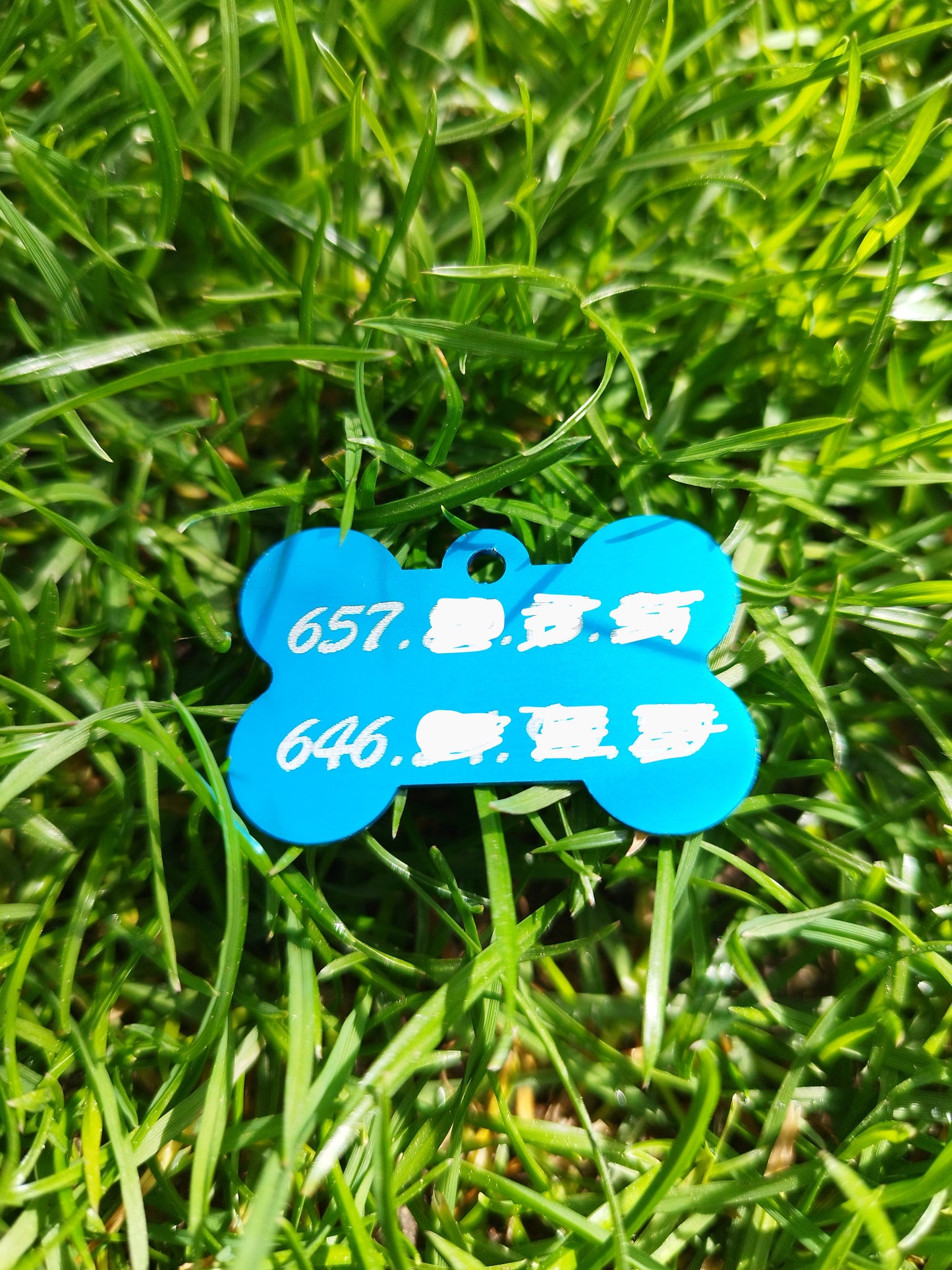 Chapa identificativa para perro