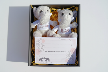 Pack peluches personalizados con vuestros nombres