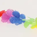 21524-000-21.webp