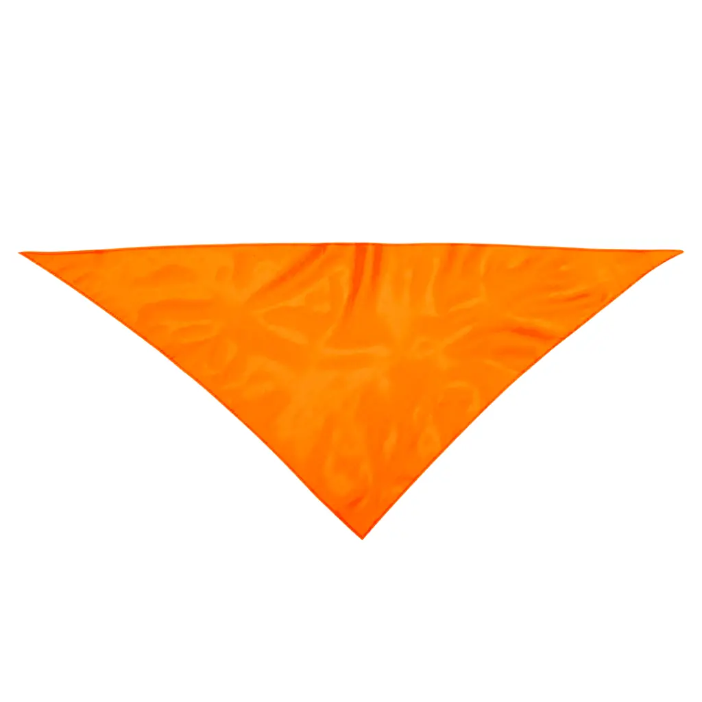 3029-007-P.webp