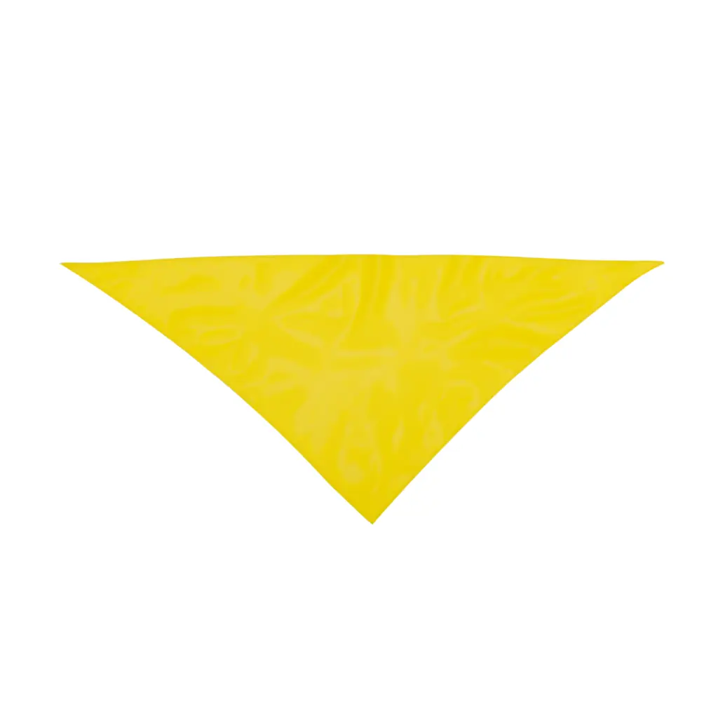 3029-005-P.webp