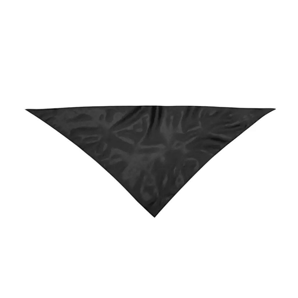 3029-002-P.webp