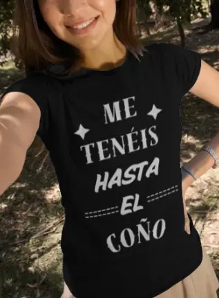 Captura de pantalla 2025-07-15 182737.webp