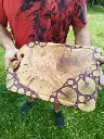 TABLA DE CORTAR "MADERA DE OLIVO Y RESINA"