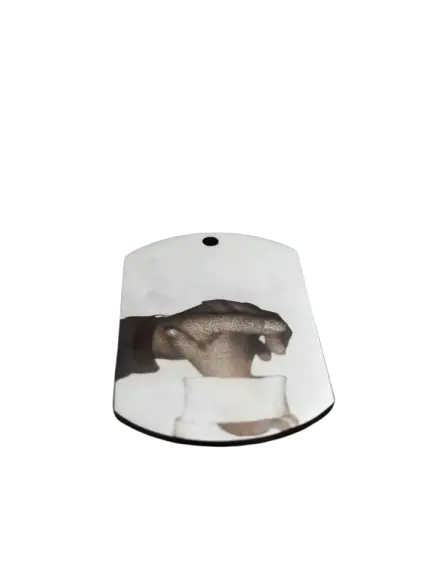 CHAPA MILITAR PERSONALIZADA